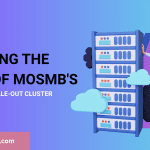Active‑Active Scale Out Cluster
